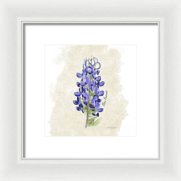 Blue Bonnet - Framed Print