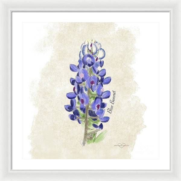 Blue Bonnet - Framed Print