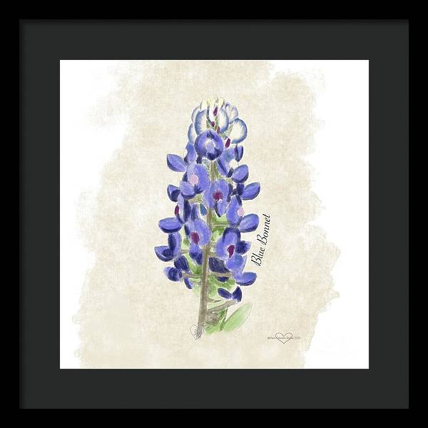 Blue Bonnet - Framed Print