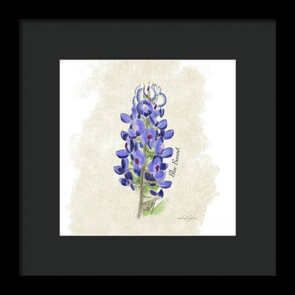 Blue Bonnet - Framed Print