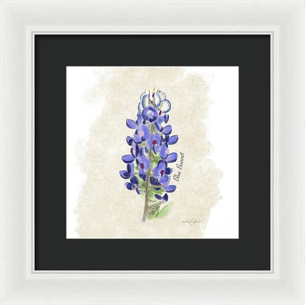 Blue Bonnet - Framed Print