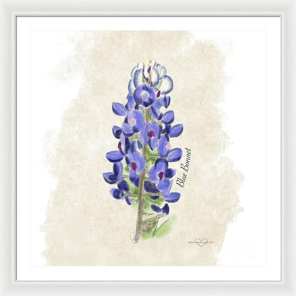 Blue Bonnet - Framed Print