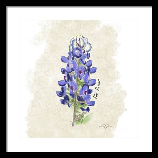 Blue Bonnet - Framed Print