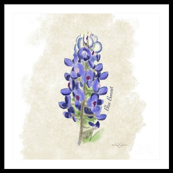 Blue Bonnet - Framed Print