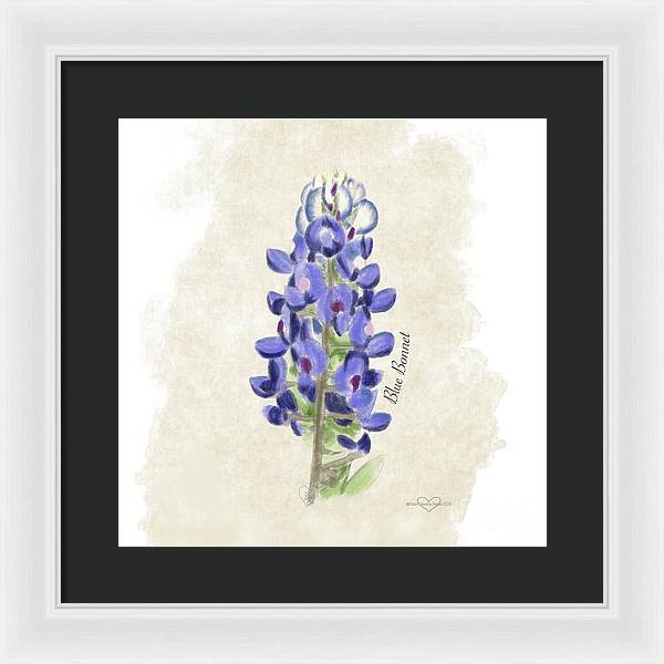 Blue Bonnet - Framed Print