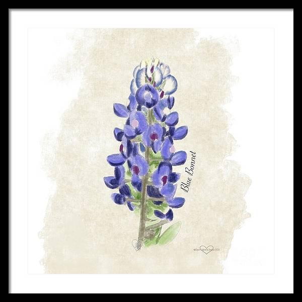 Blue Bonnet - Framed Print