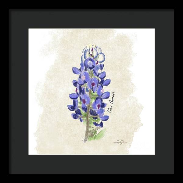 Blue Bonnet - Framed Print