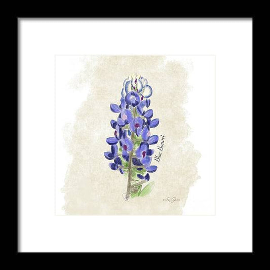 Blue Bonnet - Framed Print