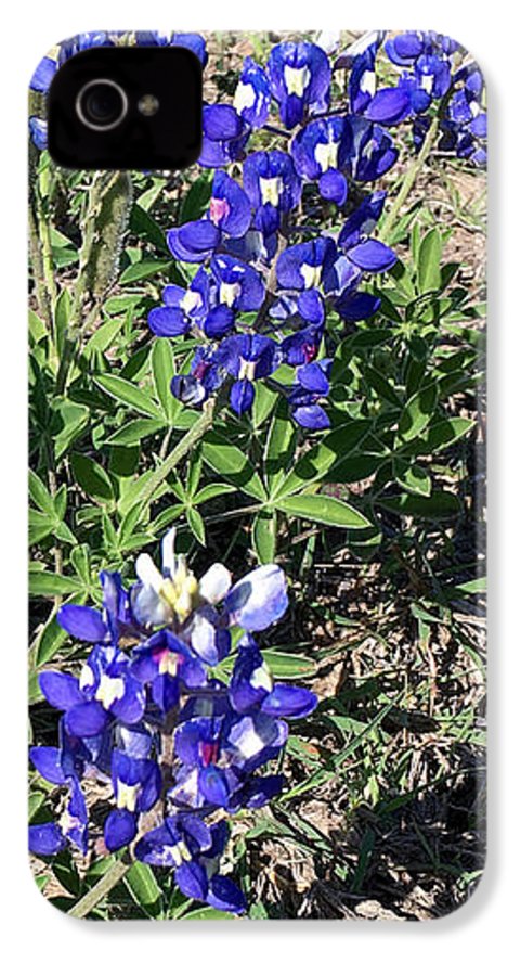 Bluebonnets - Phone Case