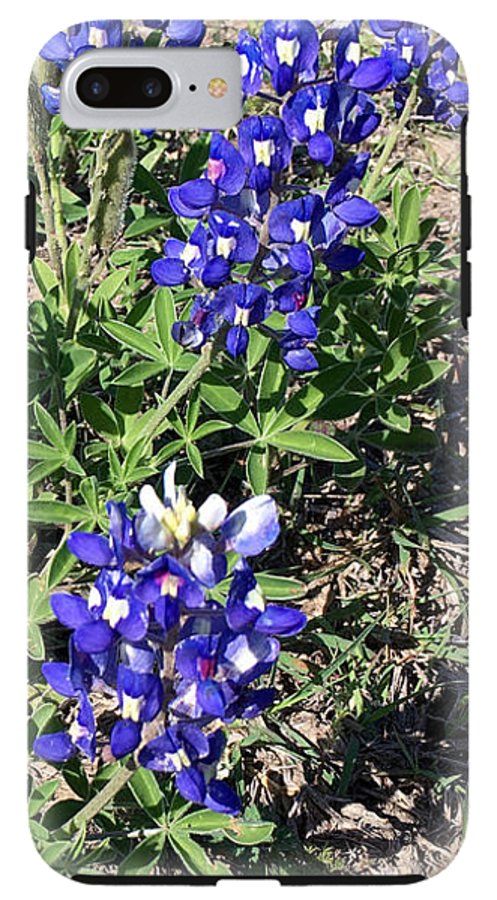 Bluebonnets - Phone Case