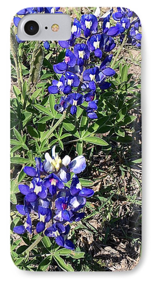 Bluebonnets - Phone Case