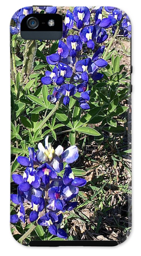 Bluebonnets - Phone Case