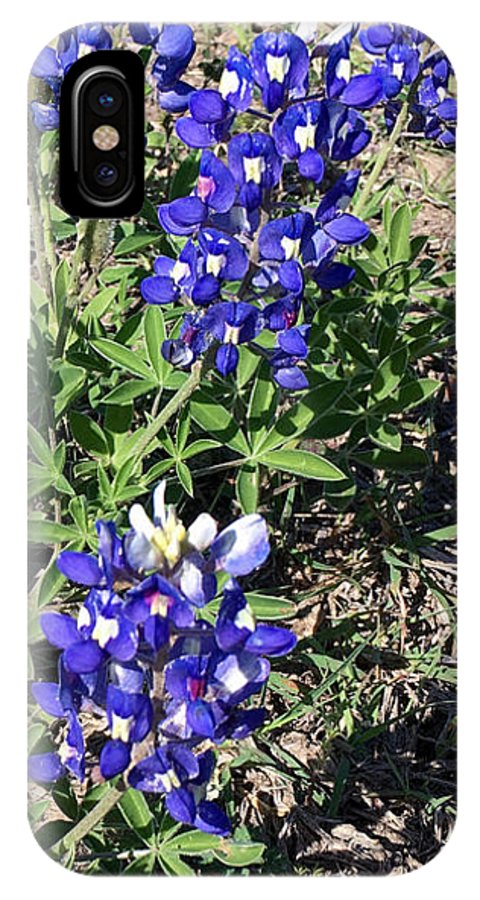 Bluebonnets - Phone Case