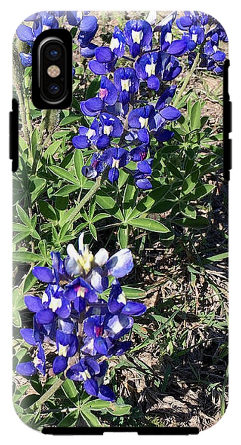 Bluebonnets - Phone Case