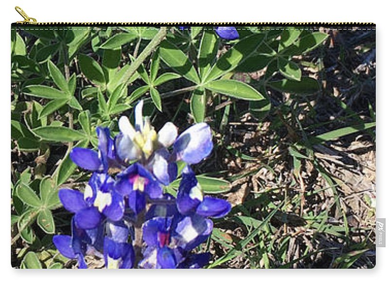 Bluebonnets - Zip Pouch