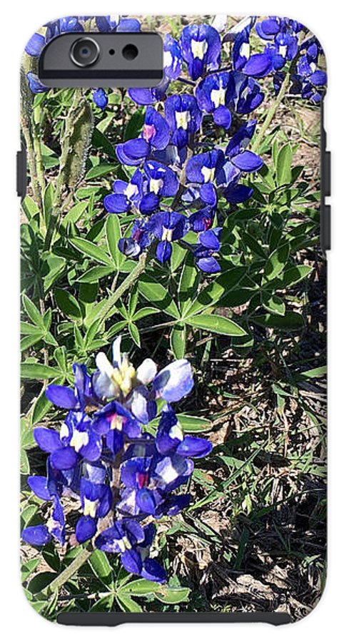 Bluebonnets - Phone Case