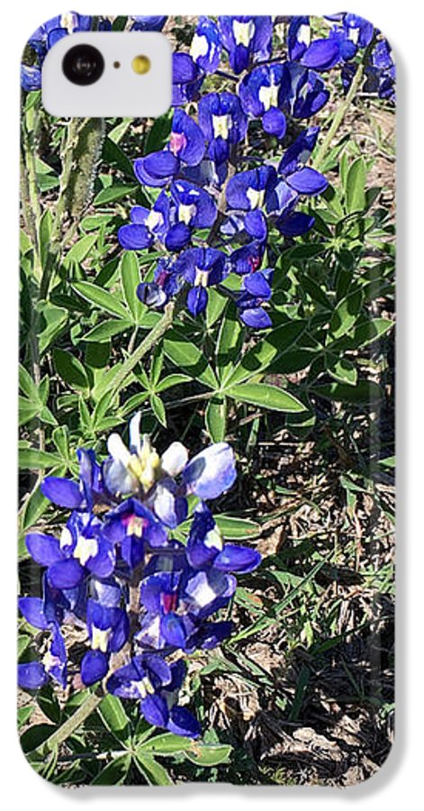 Bluebonnets - Phone Case