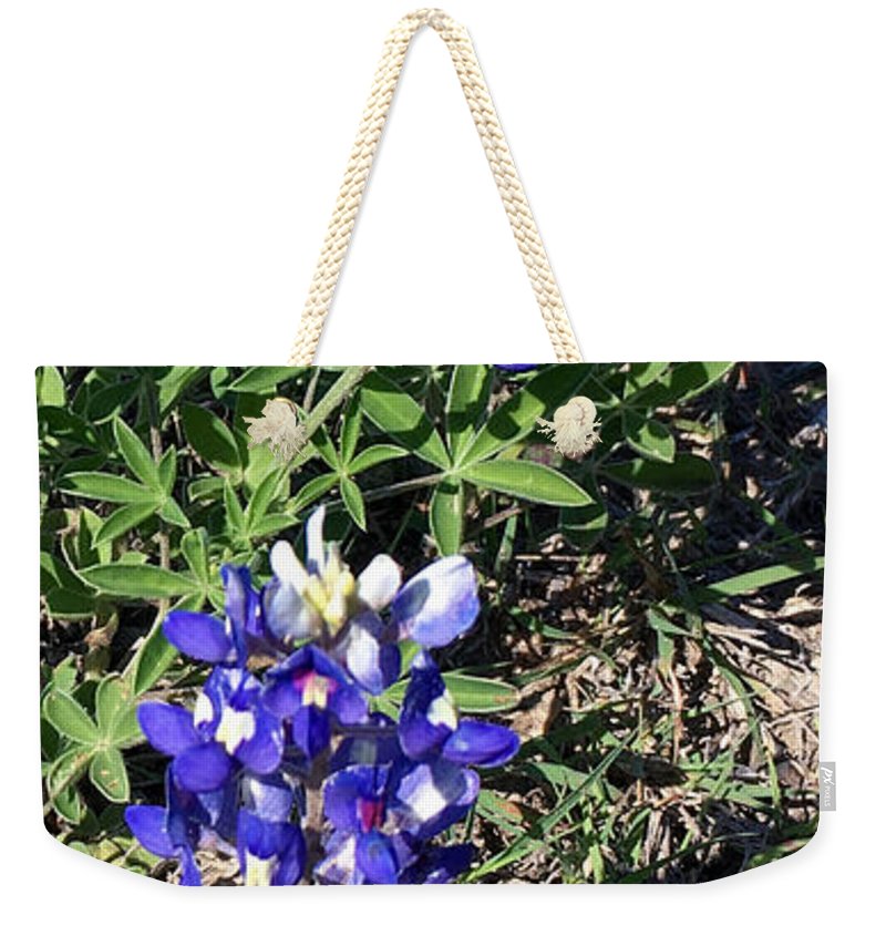 Bluebonnets - Weekender Tote Bag