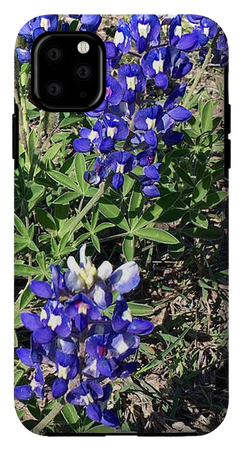 Bluebonnets - Phone Case