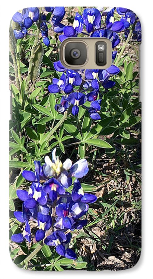 Bluebonnets - Phone Case