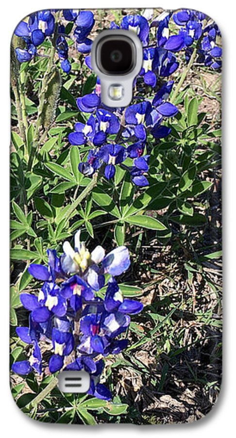 Bluebonnets - Phone Case