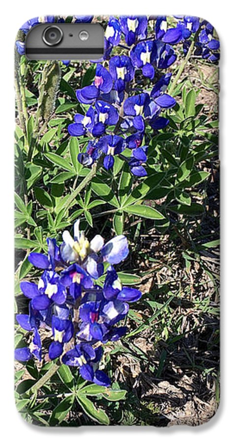 Bluebonnets - Phone Case