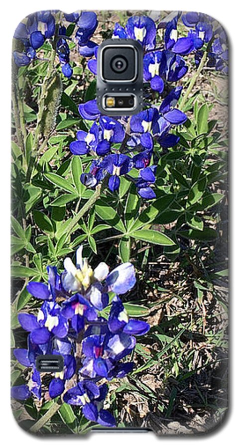 Bluebonnets - Phone Case