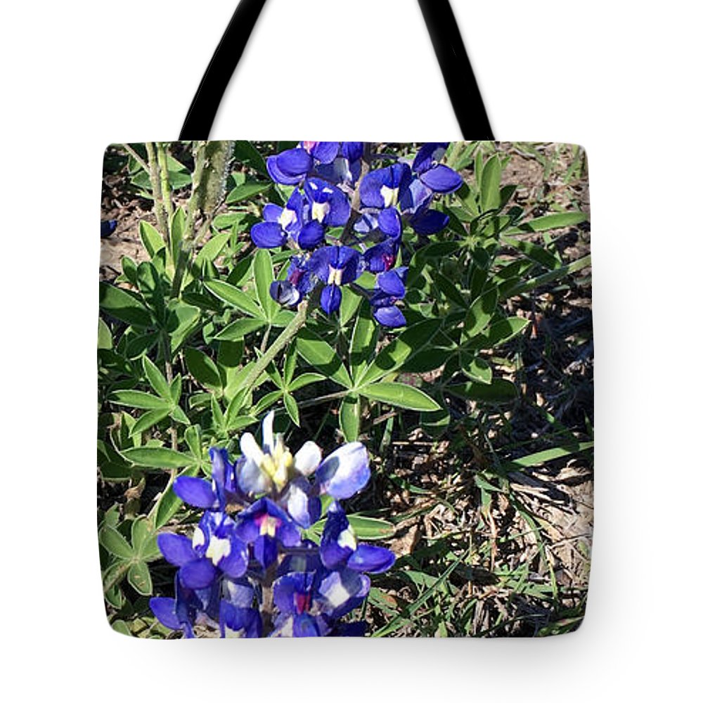 Bluebonnets - Tote Bag