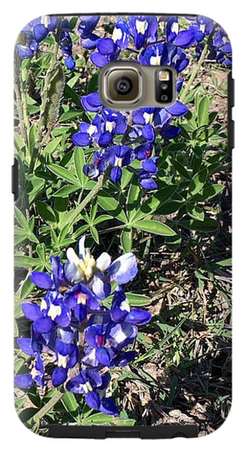 Bluebonnets - Phone Case