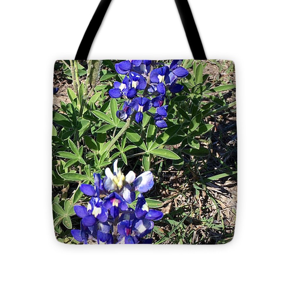 Bluebonnets - Tote Bag