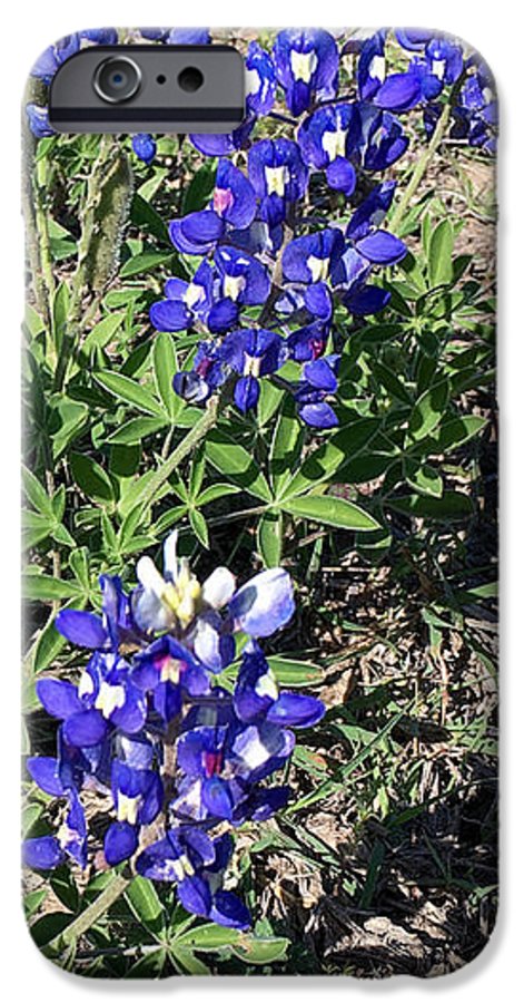 Bluebonnets - Phone Case