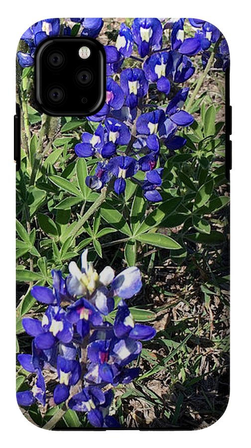 Bluebonnets - Phone Case