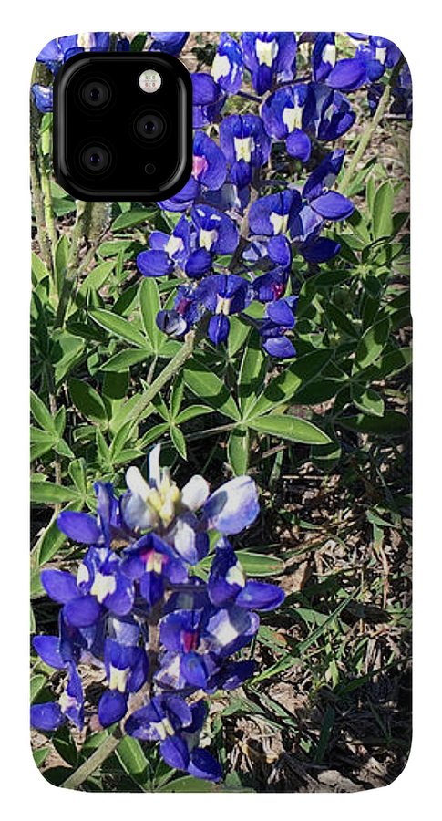 Bluebonnets - Phone Case