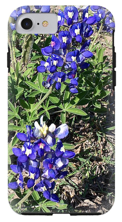 Bluebonnets - Phone Case