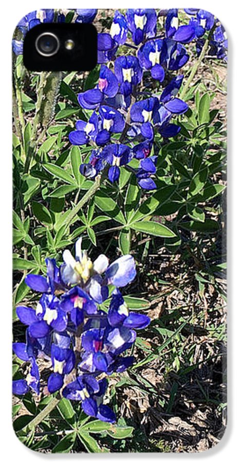 Bluebonnets - Phone Case