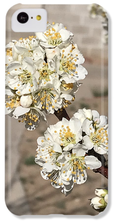 Bridal Bouquets - Phone Case