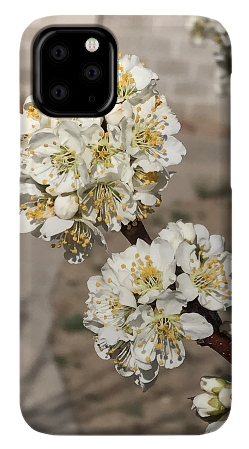 Bridal Bouquets - Phone Case