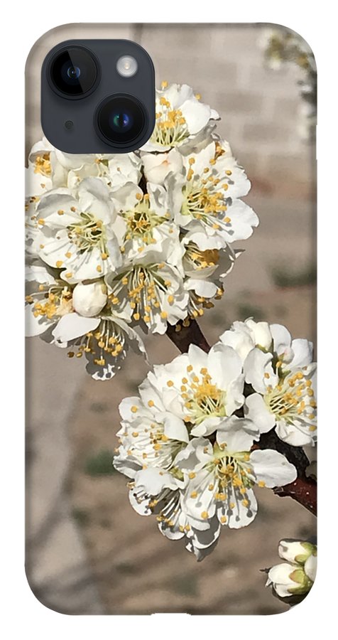 Bridal Bouquets - Phone Case