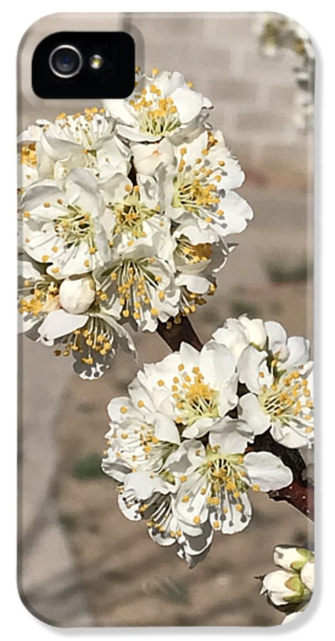 Bridal Bouquets - Phone Case