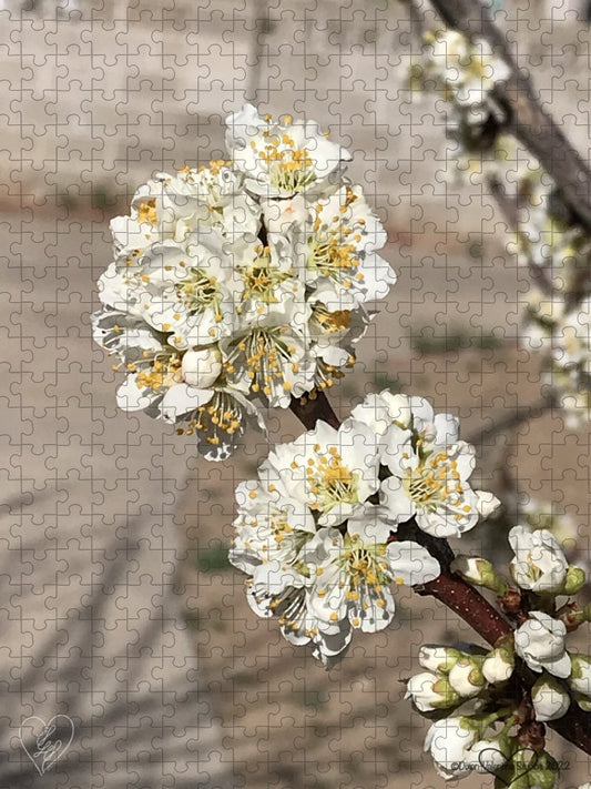 Bridal Bouquets - Puzzle