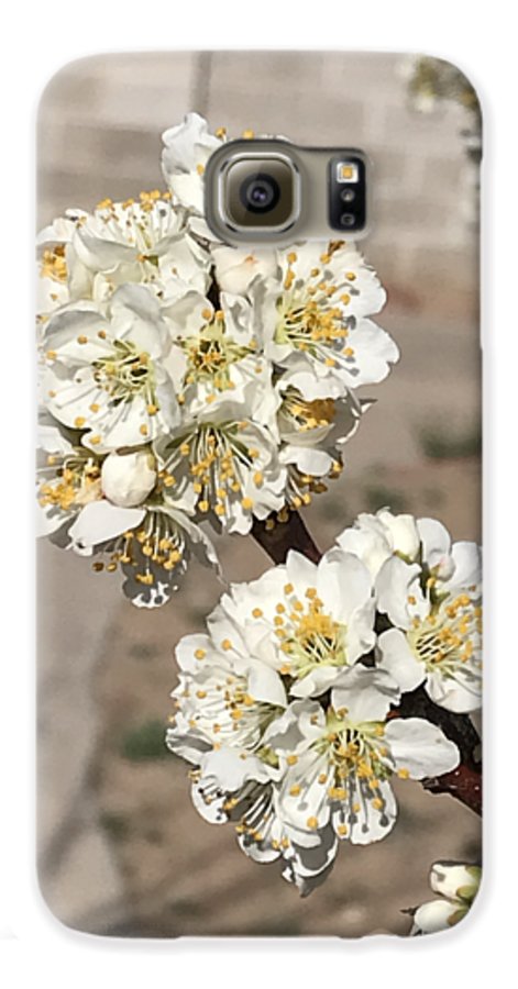 Bridal Bouquets - Phone Case