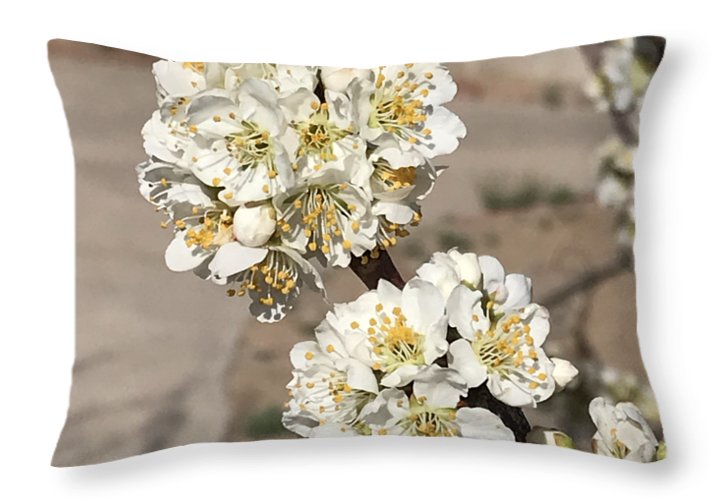 Bridal Bouquets - Throw Pillow