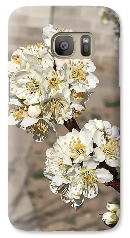 Bridal Bouquets - Phone Case