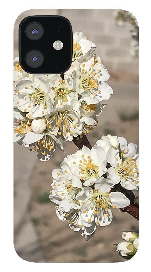 Bridal Bouquets - Phone Case