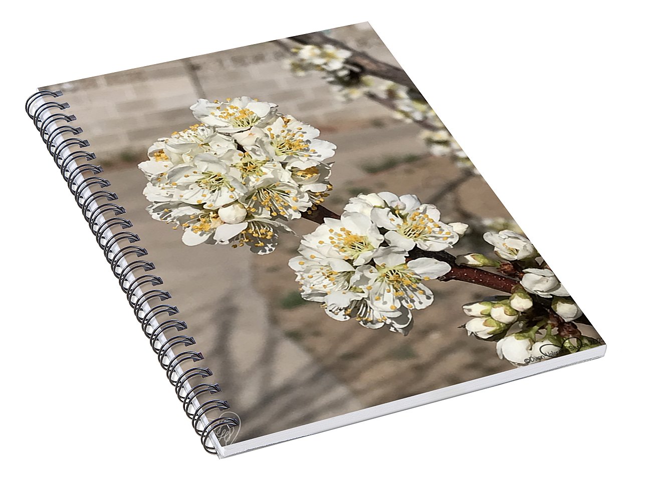 Bridal Bouquets - Spiral Notebook