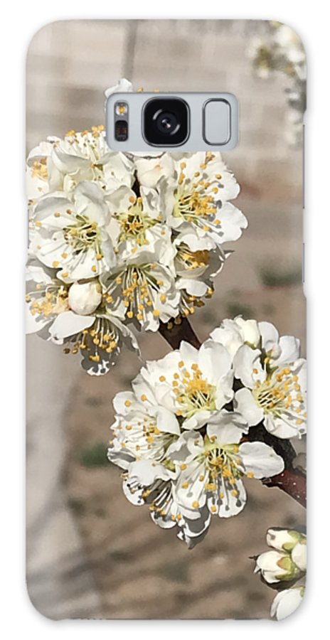 Bridal Bouquets - Phone Case