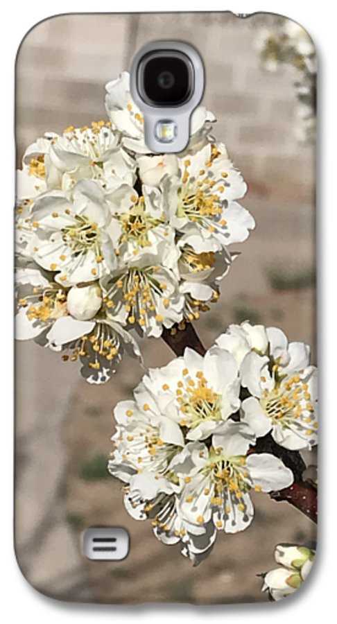 Bridal Bouquets - Phone Case