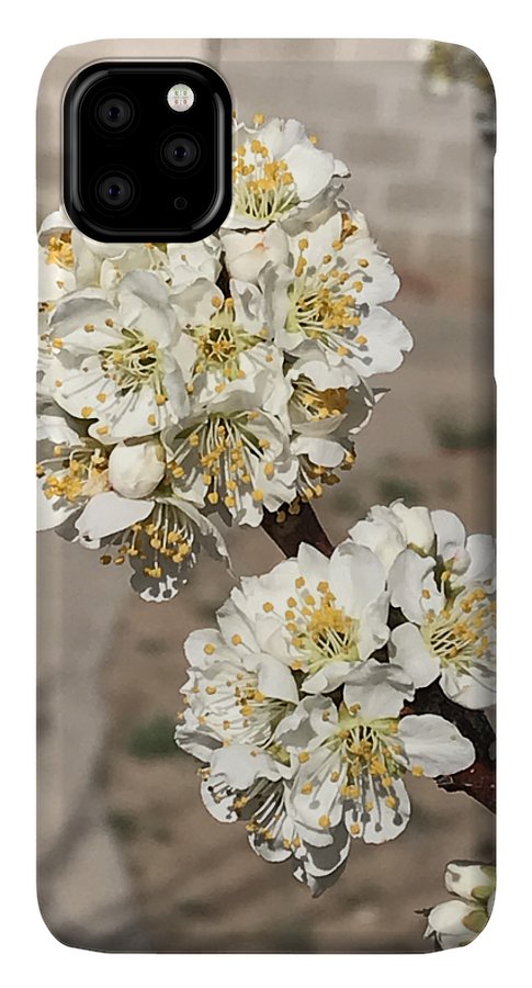 Bridal Bouquets - Phone Case