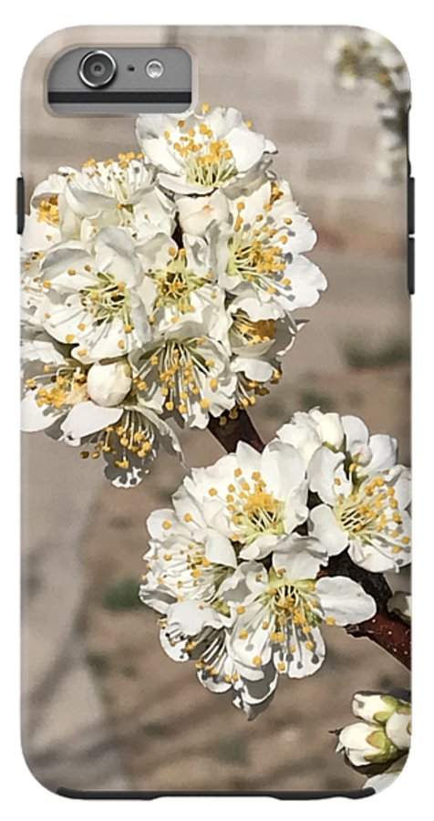 Bridal Bouquets - Phone Case