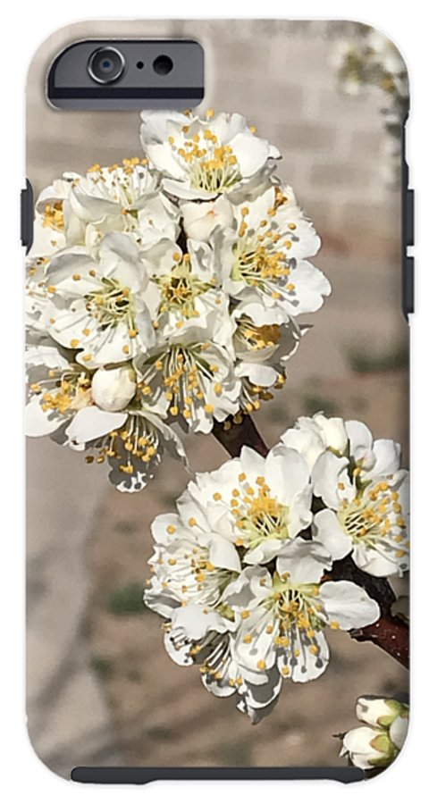 Bridal Bouquets - Phone Case